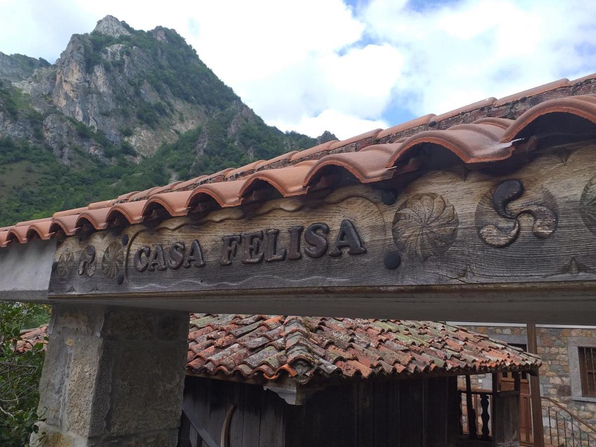 Casa Felisa * Pola de Somiedo